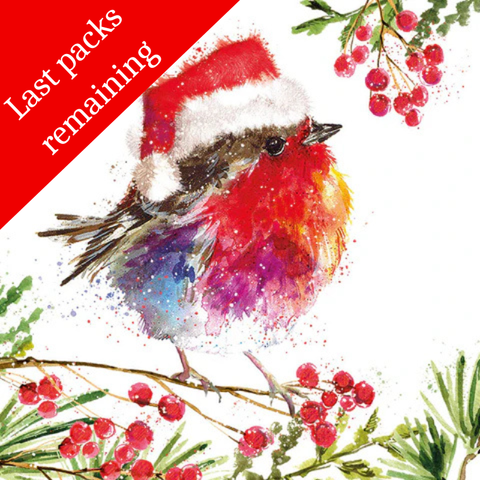 Fluffy Robin and Berries & Robin Trio charity Christmas cards (Twin pack)