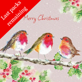Fluffy Robin and Berries & Robin Trio charity Christmas cards (Twin pack)