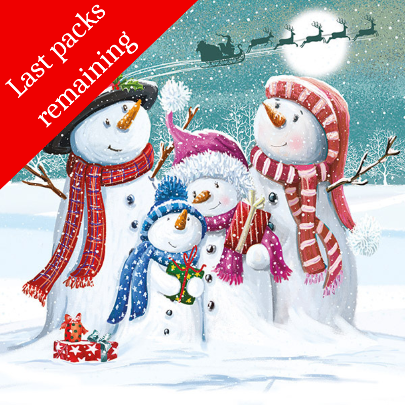 The Family Snow charity Christmas cards (Single pack)