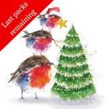 Junior putting on the Star & Fluffy Robin  Gold charity Christmas Cards (Twin pack)