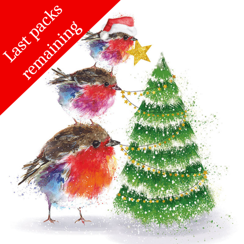 Junior putting on the Star & Fluffy Robin  Gold charity Christmas Cards (Twin pack)