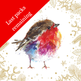Junior putting on the Star & Fluffy Robin  Gold charity Christmas Cards (Twin pack)