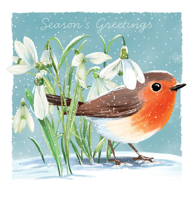 Snowdrop Robin (single pack)