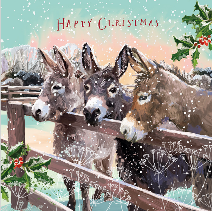 A Highland Christmas & Waiting in the Paddock (Twin pack)