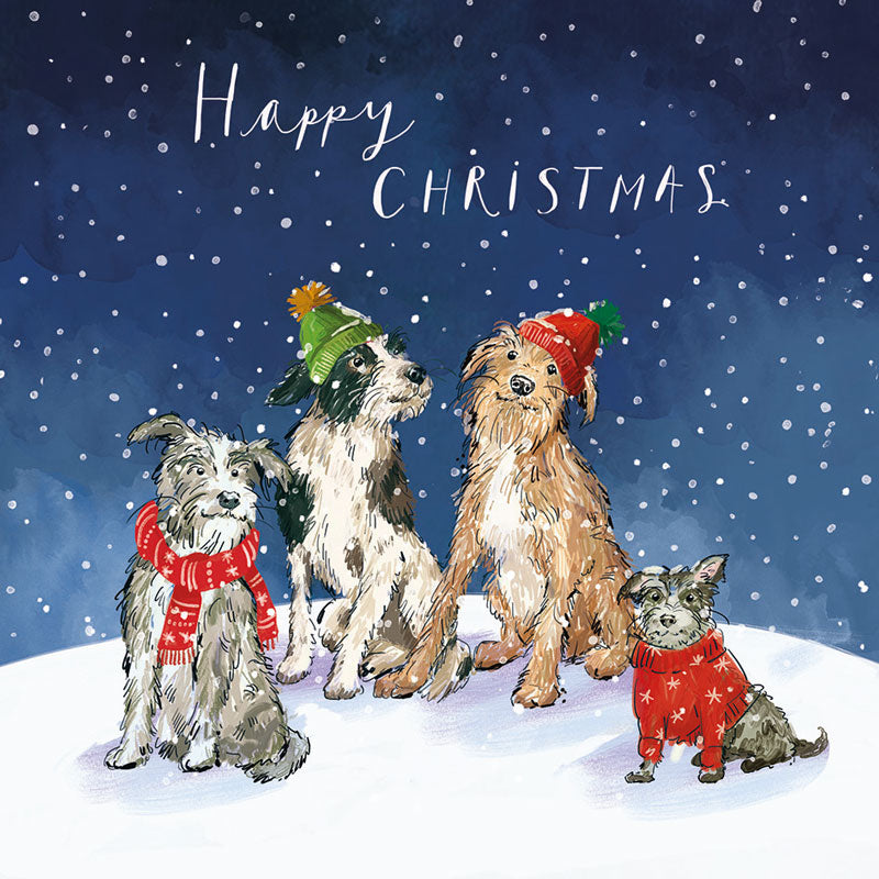 Type 1 diabetes charity Christmas cards from Breakthrough T1D