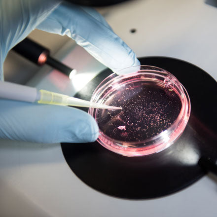 Add a £5 donation to Breakthrough T1D